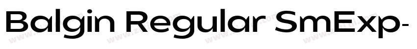 Balgin Regular SmExp字体转换